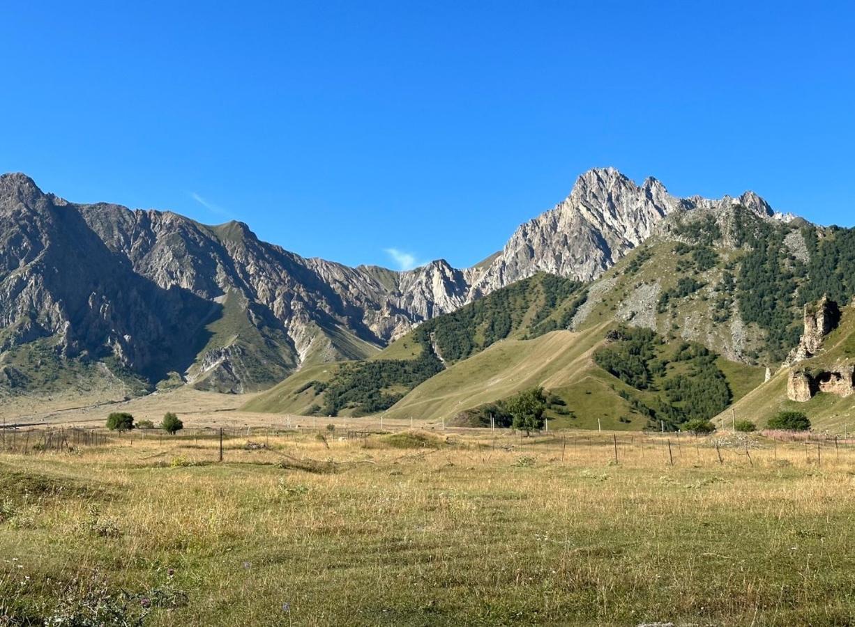 Alpine Escape Kazbegiヴィラ エクステリア 写真