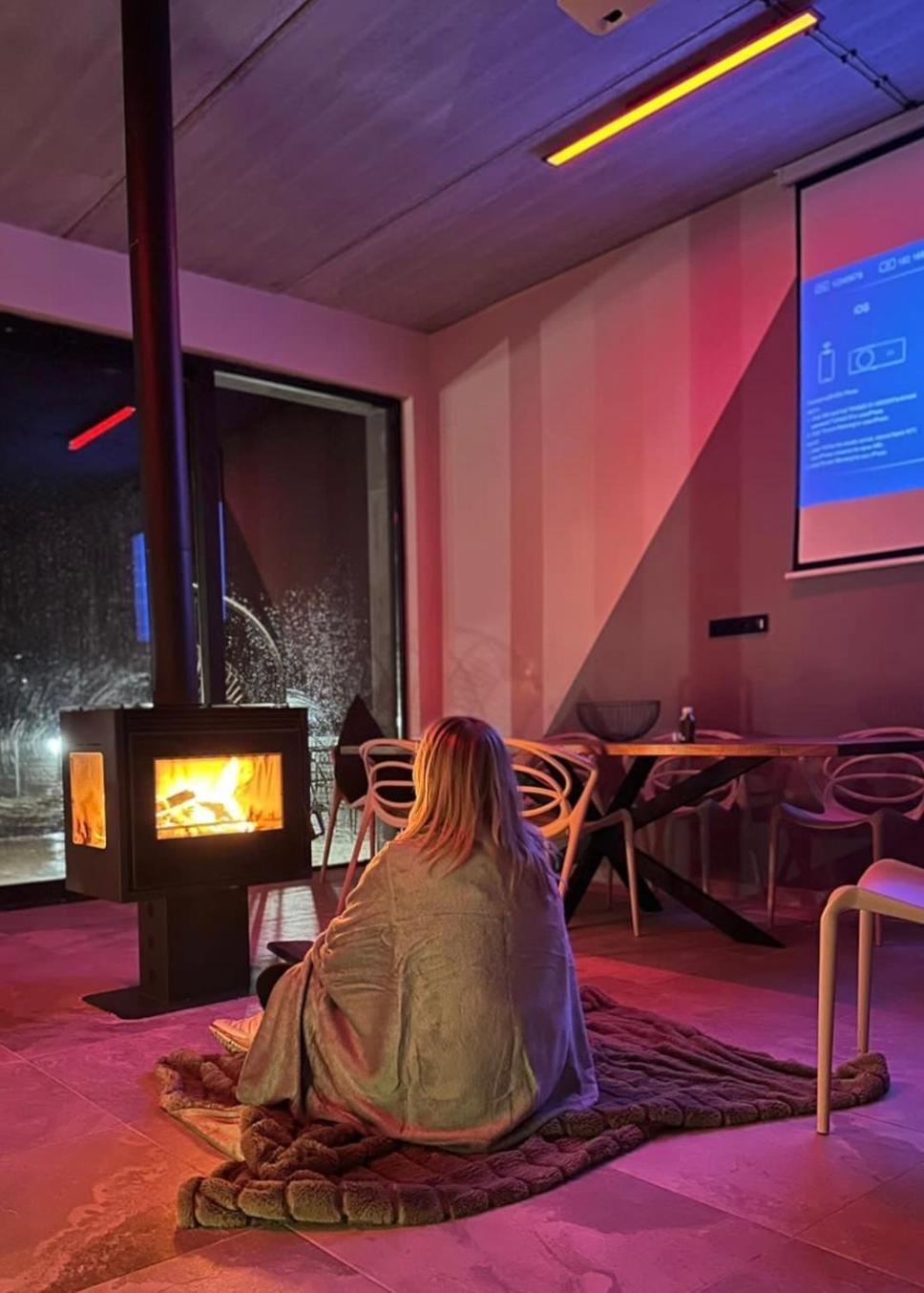Alpine Escape Kazbegiヴィラ エクステリア 写真